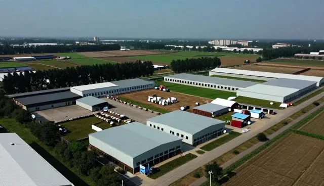 企业技术外包服务选型中的关键考量因素